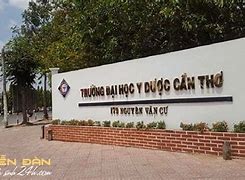 Đại Học Y Dược Cần Thơ Các Ngành 2024