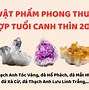 Nữ Sinh Năm 2000 Cung Gì