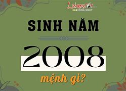 Sinh Ngày 1 Tháng 1 Năm 2008 Là Tuổi Con Gì