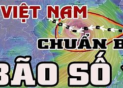 Tin Bão Mới Nhất Gần Đây