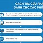 Tra Cứu Phạt Nguội Khi Đăng Kiểm